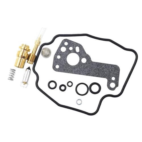 Kit de réparation de carburateur for moto YMH Virago XV535 avec joints et pointeaux de précision