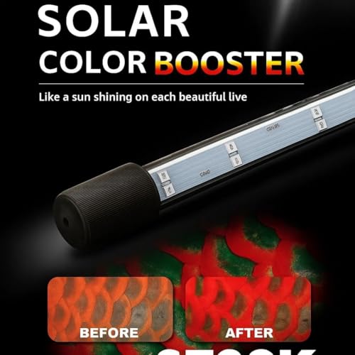 Image of VAYINATO Solar Colour Booster Aquarium LED Light - Tanning Pro Fish Color Enhancing Lamp | Professional Aquarium Lighting for Arowana, Channas, Cichlids, Flowerhorn (L-80 (Suitable for 80 Cm Tank))