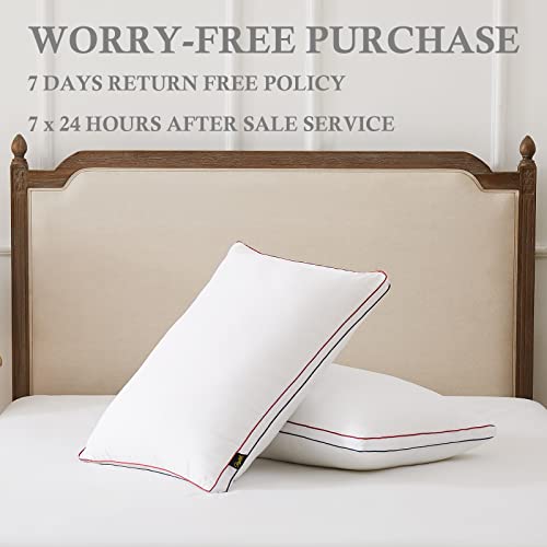 Homemate Bed Pillows For Sleeping - Queen Size(20"X28") Set Of 2 Gusset Pillows Allergy Friendly Microfiber Shell Fluffy Down Alternative Filling Pillow Suitable Back Stomach Or Side Sleepers #TOP6