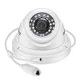 ZOSI ZM4285D 5MP Add-on POE IP Security Camera H.265+ Outdoor Indoor Dome Camera with Night Vision ONLY Work with ZOSI POE Surveillance Camera System and NVR (Model:ZR08EN00/10/20)