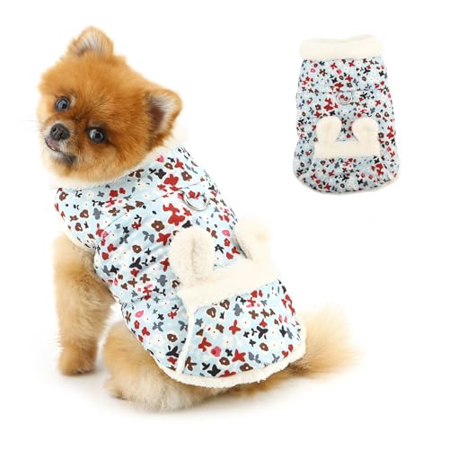 PAIDEFUL   ~ ^ ԕ t[X N R[g t WPbg h h pbh  ybgEFA ` [L[ L  hbOEFA DOt,,M