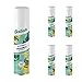 Batiste Dry Shampoo, Clean and Classic Original, 6.73 Fl Oz, Pack of 6