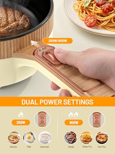 Image of Electric Hot Pot 1.5L Mini Portable Electric Pot Dual Power | Electric Cooking Pot with Saute Frying Functions for Ramen Pasta Steak Eggs Soup for Dorms Small Kitchen Camping RV Travel