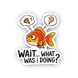 2 (Pieces) 3" and 5" Orange Goldfish, Waterproof Vinyl Decals for Many Purpose Like Cars, Trucks, Laptops, Phones, Windows and More