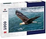 Noah Jigsaw Puzzle Bald Eagle, Alaska 1000 Pieces