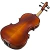 Paititi PTVN101-1/2 1/2 Violin, 1/2