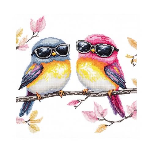 51buyoutgo Point de Croix, 30x30CM Canevas Kit Complet Adulte avec Fils, Pré Imprimé Kit Broderie Debutant Oiseaux Colorés Modèle‌, 11CT Cross Stitch Embroidery Set, Loisirs Créatifs Activité Manuelle