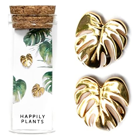 18k Gold Plated Monstera Deliciosa Stud Earring Set, Plant gifts Minimal Earring Studs, Plant Gifts, Plant Mom Gift Cover