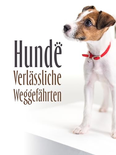 Hunde - Verlässliche Weggefährten