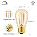 Hizashi S14 Replacement Light Bulbs, 2W=25 Watt Outdoor Edison Bulbs Dimmable E26 Base, Amber 2200K S14 LED Bulbs, Outdoor String Lights Bulbs Replacement, Shatterproof Waterproof, UL Listed, 6 Pack