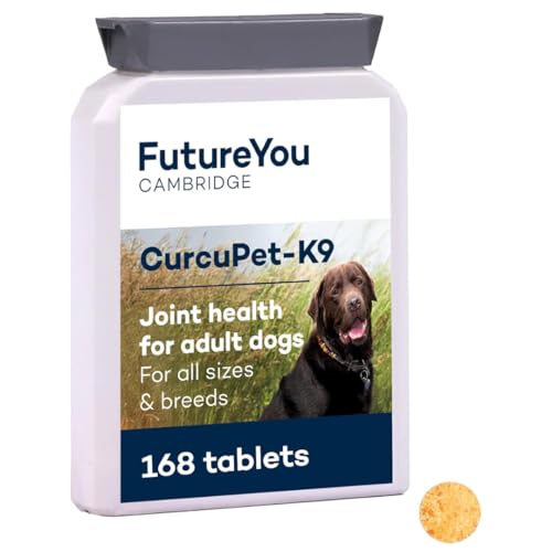 Is turmeric curcumin good for dogs