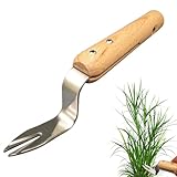 Generisch Unkrautentferner für Garten und Rasen,Manuelle Gartenwerkzeuge | Jäten Und Umpflanzen -...