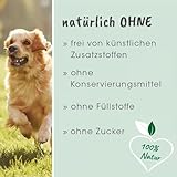 cdVet Magenschutz 100g - Pulver zur Förderung der Gesundheit von Magen und Darm für Hunde und Katzen