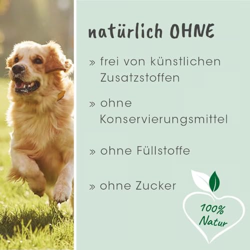 cdVet Magenschutz 100g - Pulver zur Förderung der Gesundheit von Magen und Darm für Hunde und Katzen