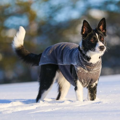 Pomppa Jumppa Fleecejacke für Hunde, 34 cm, Graphit