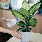 Lecreatekit Kunststoff-Sprinklerdüsenaufsatz für Flaschen, 10 Stück, PP-Bewässerungswerkzeug für Zimmerpflanzen, Gärten und Büros, passend für 28 mm Flaschenmund