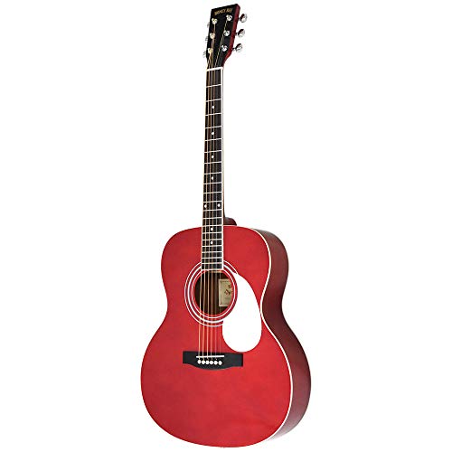 ふ*じ様 No.80 HONEY BEE F-15 N アコギ アコースティック 楽天市場】アコースティックギター HONEY BEE W-15/F-15 ソフト