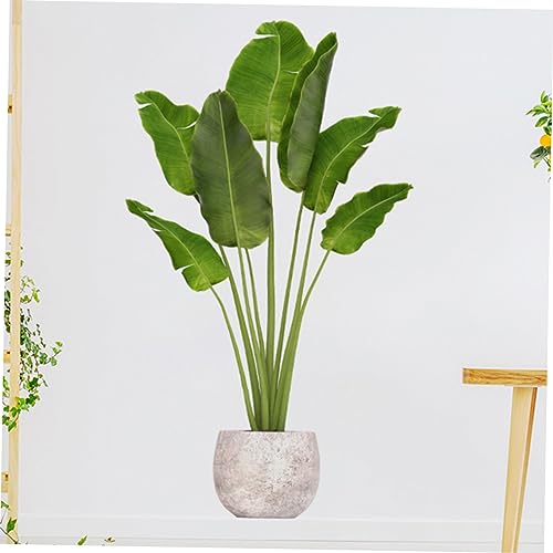 Papier peint auto-adhésif décor de la chambre plantes - 3