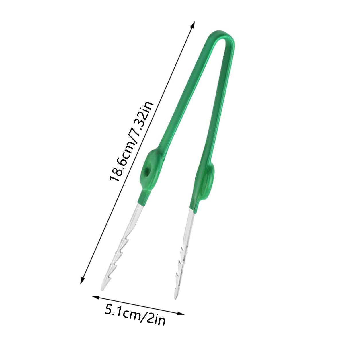 Pinzette da Giardino Professionali in Acciaio Inox Pinza a Punta Dritta Seghettata per Piante Succulente Cactus e Bonsai Strumento di Precisione Portatile per Trapianto e Cura Piante