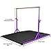 Z Athletic Elite Gymnastics bar Adjustable Height for Kips, Training & 4' x 6' x 2in Mat (Purple & black)