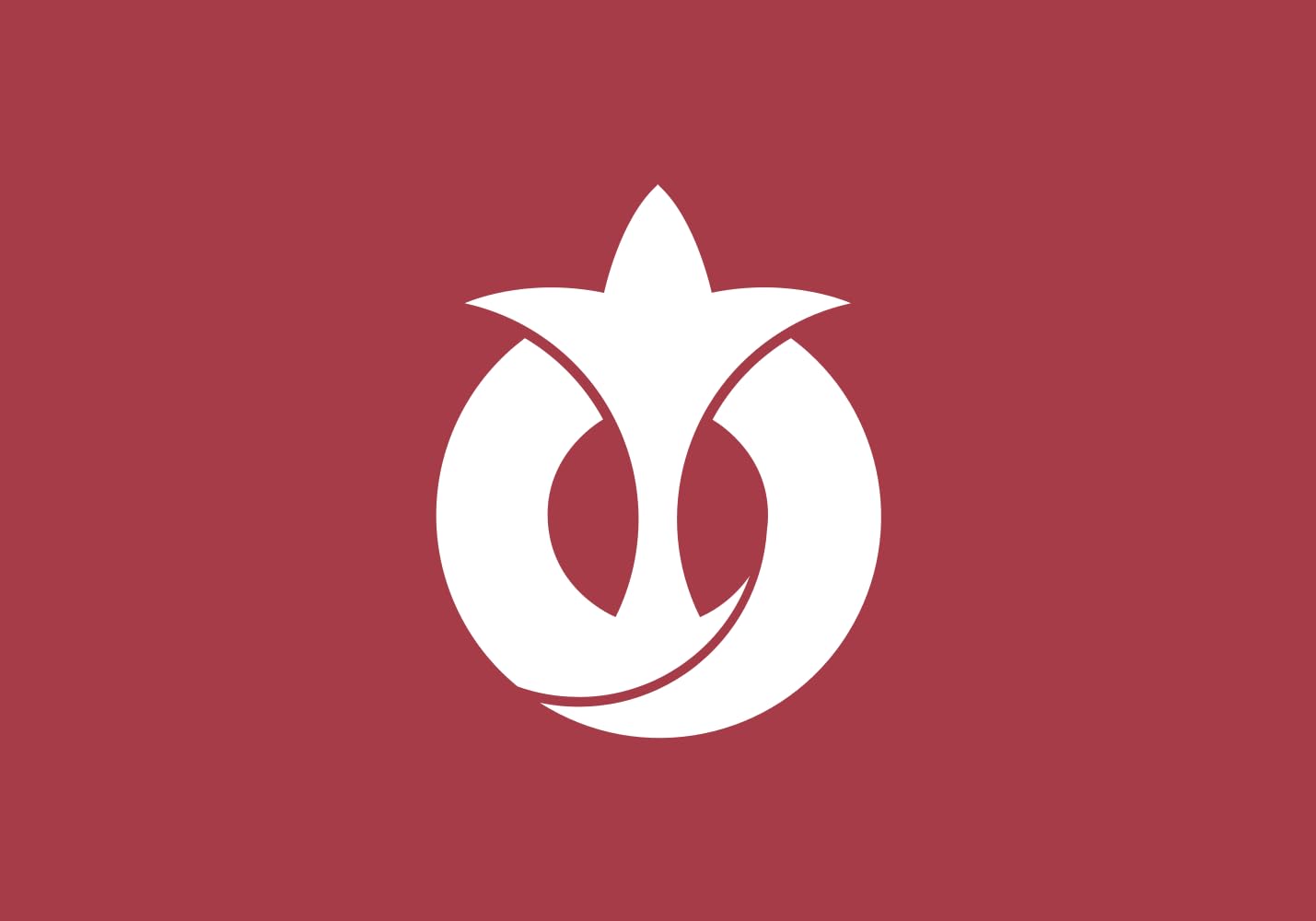 Drapeau Préfecture d Aichi Large+ pour décorer votre jardin et vos grands espaces