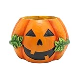 Halloween Pumpkin Planter Pots for Indoor Plants, Pumpkin Bucket Vase Resin Pumpkin Face Succulent Flower Pot Halloween Cute Desktop Floral Plants Ornaments for Home Indoor Outdoor Garden (1)