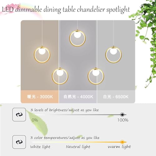 Lampe suspendue LED télécommande intensité variable pour salon
