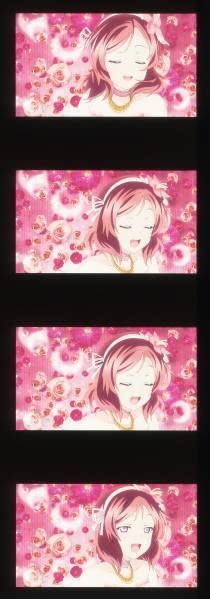 Amazon.co.jp: 劇場版 ラブライブ フィルム 僕たちはひとつの光 真姫 