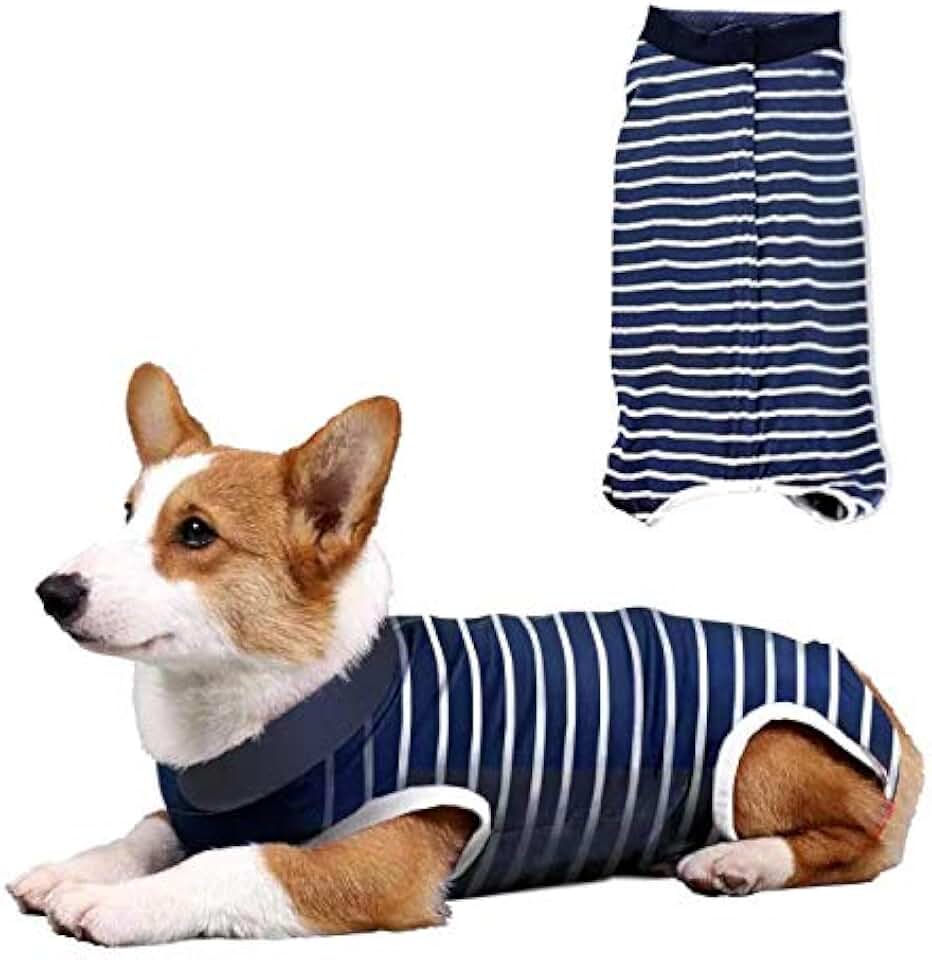 Amazon.co.uk medical dog vest