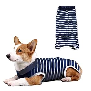 L7HWDP Dog Surgery Recovery Suit Puppy M...