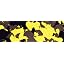 Yellow/Grey/Black
