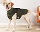 SUYUKU Hunde-Angstlinderungsmantel, Ohrenschutz, wärmer, beruhigende Angstjacke für Hunde mit reflektierenden Streifen, beruhigender Rollkragen für Donner, Feuerwerk, Reisen und Trennungsangst (Grün,