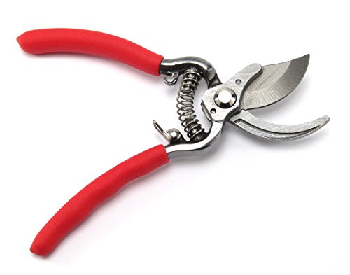 Elitexion Professional Heavy Duty Forged Bypass Pruning Shears, Garden Clippers, Hand Pruner Size 6 and 8 inches (Pack of 2)