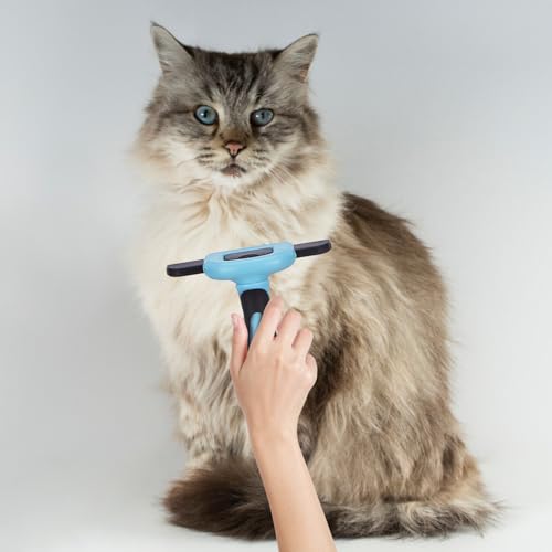 Image of Amazon Basics Deshedding Tool for Pet Dog Grooming | Removes Loose Hair, Mats, Tangles, and Dirt | Suitable for All Dog Breeds | Large Blade