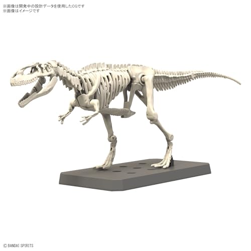 Bandai Hobby Plannosaurus Giganotosaurus Modelo Kit miniatura 2