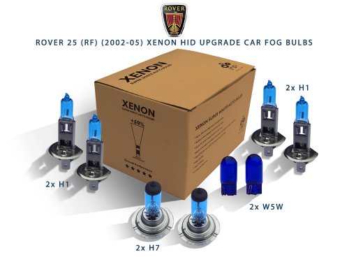 Lampe frontale au xénon H1 améliorant la vision de Rover 25