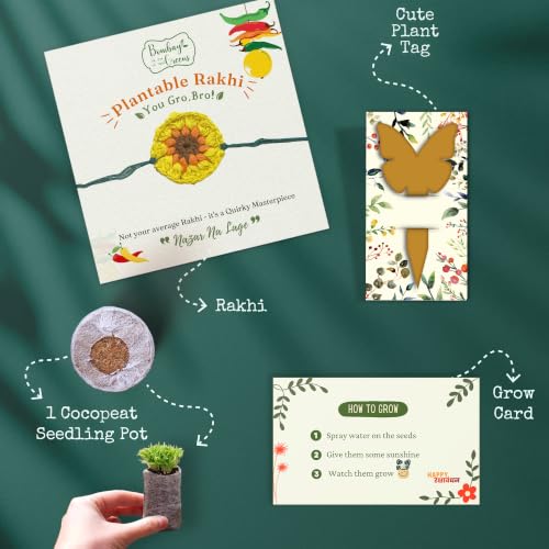 Image of Bombay Greens Plantable Seed Rakhi for Brother Eco- Friendly DIY Grow Kit| Grow Plants from Seeds Rakhi | Rakhi Gift Set - Sunflower
