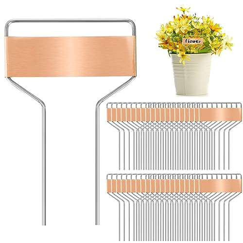 Foraineam 40 Pack 4 Inch Plant Label Stakes, Weatherproof Copper Plant Markers Seedling Signs, Reusable Metal Nameplate Garden Nursery Stake Tags for Herbs Flowers Vegetables Potted Plants