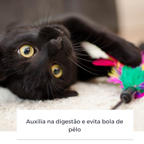 Grama para gato Kit Graminha para gatos Vaso Autoirrigável Inteligente Grama Félix Kit Completo Evit