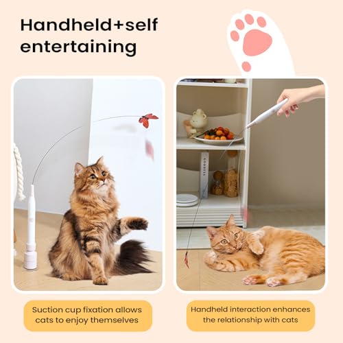 Juguetes para gatos con ventosa de succión para ejercicio de gatitos pequeños 3