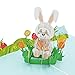 Produktbild Favour Pop Up® - 3D Karte eine liebevoll gestaltete Osterkarte mit einem lustigen Osterhasen. Mit Einschiebekarte zum Beschriften. TS005