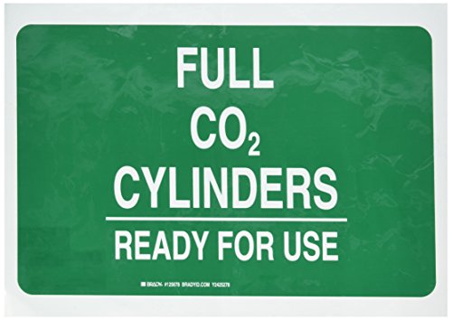 Panneau vert et blanc CO2 complets Brady 125678 hauteur 25,4 cm