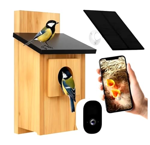 Fotocamera HD da 5 MP e microfono integrato. Il sensore ad alta definizione da 5 MP offre primi piani cristallini. Il microfono integrato cattura il canto degli uccelli e i suoni ambientali. Supporta scheda micro SD (fino a 128 GB, non inclusa) per la memorizzazione locale di tutte le registrazioni.