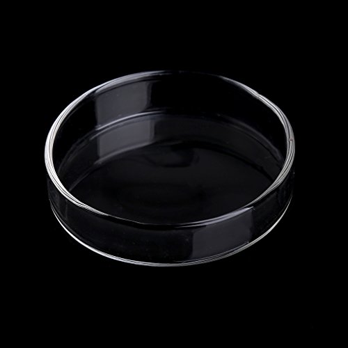Plato acrílico para comedero de peces, 2.4 pulgadas de ancho, transparente, redondo, para alimentación inferior de Cory Pleco, calentador de acuario de mascotas, termómetros de luz, filtro de