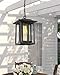 Beionxii Outdoor Pendant Light for Porch, Large Exterior Hanging Lantern Outside Chandelier Black Cast Aluminum w/Clear Glass (13.5
