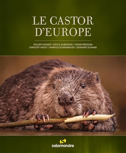 Le castor d'Europe