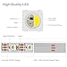 BTF-LIGHTING RGBW RGB+Cool White SK6812 (Similar WS2812B) 4 Colors in 1 LED Strip Individually Addressable 16.4ft 60Pixel/m 300LED Light Dream Color IP67 DC5V White PCB (No Adapter or Controller)
