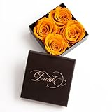 ROSEMARIE SCHULZ Heidelberg