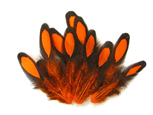 Moonlight Feather | 1 Dozen - Orange Whiting Farms Laced Hen Saddle Feathers Fly Tying Craft Halloween Supply
