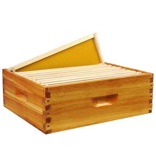 BeeQuestify 10 Frame Langstroth Medium Super Box Dipped in Beeswax Bee Hive Box Sections of Wood for Beehives Include Beehive Frames and Wax Foundations(Yellow Unassembled)